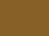 Golden Brown Color Chip